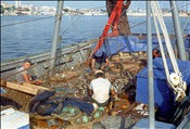 ID: 209: Urlaub / Salou / 24.09.1985 - 05.10.1985