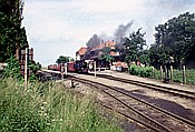 Foto SP_1990_06504: DR 99 2331-9 / Kuehlungsborn-West / 23.06.1990