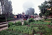 Foto SP_1990_06519: DR 99 2321-0 / Kuehlungsborn-West / 23.06.1990