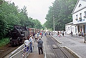 Foto SP_1990_06534: DR 99 2331-9 / Heiligendamm / 23.06.1990