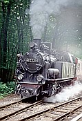 Foto SP_1990_06537: DR 99 2331-9 / Heiligendamm / 23.06.1990