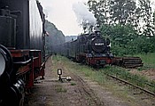 Foto SP_1991_06521: DR 99 1784-0+ DR 99 4802-7 / Binz / 15.06.1991