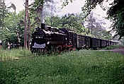 Foto SP_1991_06524: DR 99 1784-0 / Goehren / 15.06.1991