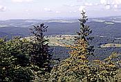 ID: 209: Wanderung / Mitterfirmiansreut / September 1991