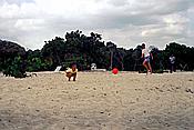 ID: 209: Strand / Guardalavaca / 30.04.1992