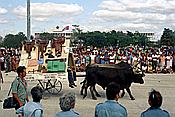 Foto SP_1992_04554: 1. Mai Parade /Holguin / 01.05.1992