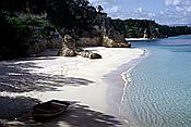 ID: 209: Tour / Cayo Saetia / 13.05.1992