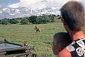 ID: 209: Tour / Cayo Saetia / 13.05.1992