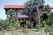 ID: 209: Tour / Cayo Saetia / 13.05.1992