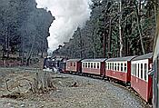 ID: 209: DR 99 7244-9 / Wernigerode / 20.03.1994