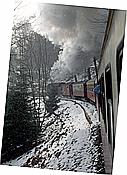 ID: 209: DR 99 7244-9 / Wernigerode / 20.03.1994