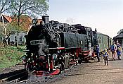 Foto SP_1994_05020: DR 99 749 (DB 099 728-8) / Bertsdorf / 07.05.1994