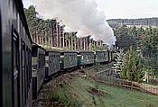 ID: 209: DB 099 737-9 / Cranzahl - Oberwiesenthal / 27.08.1994