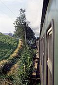 ID: 209: DB 099 737-9 / Cranzahl - Oberwiesenthal / 27.08.1994