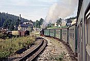 ID: 209: DB 099 737-9 / Cranzahl - Oberwiesenthal / 27.08.1994