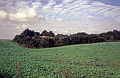 ID: 209: Wanderung / Mragowo / September 1994