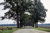 ID: 209: Besichtigung Schloss Sztynort / Sztynort / September 1994