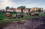 ID: 209: Wochenmarkt / Mragowo / September 1994