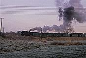 ID: 209: DB 099 756-9 / Radeburg - Radebeul / 11.12.1994