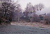 ID: 209: DB 099 756-9 / Radeburg - Radebeul / 11.12.1994