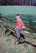 ID: 209: Mirko / 03.1995