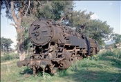 Foto SP_1995_05803: TCDD ? / Camlik / Mai 1995