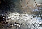 Foto SP_1996_01310: Winterstimmung / Rabenau / 05.01.1996