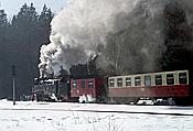 Foto SP_1996_03331: DR 99 7237-3 / Drei Annen Hohne /17.03.1996