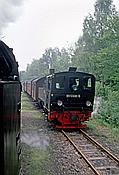 Foto SP_1996_06312: DR 99 7246-4 + DR 99 5906-5 / Sternhaus-Ramberg / 10.06.1996