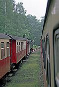Foto SP_1996_06313: DR 99 7246-4 + DR 99 5906-5 / Sternhaus-Ramberg / 10.06.1996