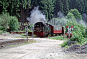Foto SP_1996_06354: DR 99 6001-4 / Eisfelder Talmuehle /10.06.1996