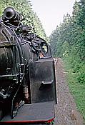 Foto SP_1996_06365: DR 99 6001-4 / Benneckenstein - Drei Annen Hohne /10.06.1996