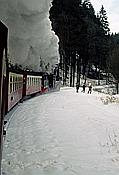 Foto SP_1997_02307: DR 99 5906-5 + DR 99 6101 / Eisfelder Talmuehle - Drei Annen Hohne / 08.02.1997