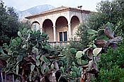 ID: 209: Wanderung / Punta de sa Faradada / Juli 1998
