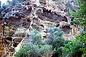 ID: 209: Wanderung / Punta de sa Faradada / Juli 1998