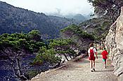 ID: 209: Wanderung / Punta de sa Faradada / Juli 1998