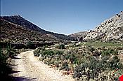 ID: 209: Wanderung Cami des Barrances / Soller / Juli 1998