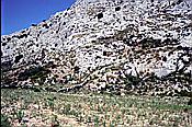 ID: 209: Wanderung Cami des Barrances / Soller / Juli 1998