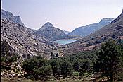 ID: 209: Wanderung Cami des Barrances / Soller / Juli 1998