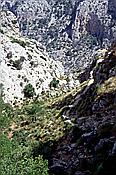 ID: 209: Wanderung Cami des Barrances / Soller / Juli 1998