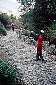 ID: 209: Wanderung Cami des Barrances / Soller / Juli 1998