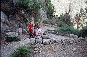 ID: 209: Wanderung Cami des Barrances / Soller / Juli 1998