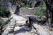 ID: 209: Wanderung Cami des Barrances / Soller / Juli 1998