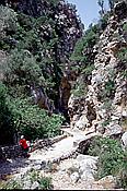 ID: 209: Wanderung Cami des Barrances / Soller / Juli 1998