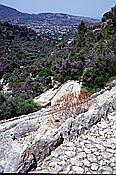 ID: 209: Wanderung Cami des Barrances / Soller / Juli 1998