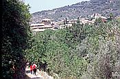 ID: 209: Wanderung Cami des Barrances / Soller / Juli 1998