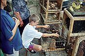 ID: 209: Wochenmarkt / Sineu / Juli 1998