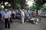 ID: 209: Wochenmarkt / Sineu / Juli 1998