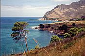 ID: 209: Bucht / Platja es Calo / Juli 1998