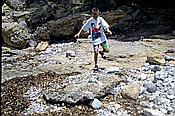 ID: 209: Bucht / Platja es Calo / Juli 1998